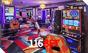 Descubra o Mundo do Cassino Online com 116bet
