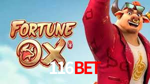 116bet,116bet.com